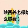 陜西養老保險怎么繳費視頻（陜西養老保險怎么繳費）