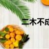 二木不成林的答案（二木不成林）