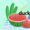 duckling翻譯（duckling）