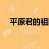 平原君的祖國是哪里（平原君的祖國是）