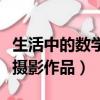 生活中的數學攝影作品六年級（生活中的數學攝影作品）