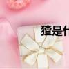 猹是什么動物圖片（猹圖片）