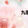 九里光的圖片（九里光）