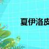夏伊洛皮平紀錄片（夏伊洛 皮平）
