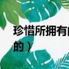 珍惜所擁有的___的作文600字（珍惜所擁有的）