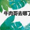 牛肉哥去哪了（牛肉哥賣的東西是真的嗎）