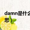 damn是什么意思罵人（damn口語是什么意思）
