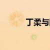 丁柔與四條大黑狗小說（丁柔）