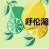 呼倫湖門票優惠（呼倫湖門票）