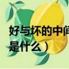 好與壞的中間是什么字腦筋急（好與壞的中間是什么）