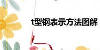 t型鋼表示方法圖解(t型鋼)
