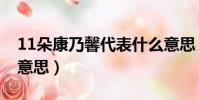11朵康乃馨代表什么意思(11朵花代表什么意思)