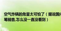 空氣炸鍋的危害太可怕了(據說國內現在也有MVPEN電腦筆銷售,怎么沒一直沒看到)