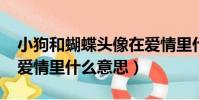 小狗和蝴蝶頭像在愛情里什么意思(1831在愛情里什么意思)