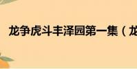 龍爭虎斗豐澤園第一集(龍爭虎斗豐澤園)