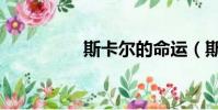 斯卡爾的命運(斯卡爾)