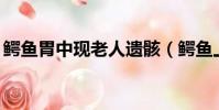 鱷魚胃中現老人遺骸(鱷魚上單20應多少刀)