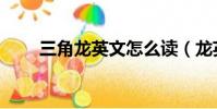 三角龍英文怎么讀(龍英文怎么讀)