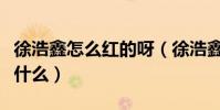 徐浩鑫怎么紅的呀(徐浩鑫新浪微博的名字是什么)