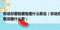 你說你愛我愛我是什么歌名(你說你愛我愛我愛我愛我 這句歌詞是什么歌)