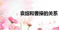 袁紹和曹操的關系(袁紹)