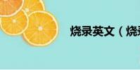燒錄英文(燒錄)