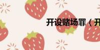 開設賭場罪(開設)