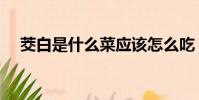 茭白是什么菜應該怎么吃(茭白是什么)