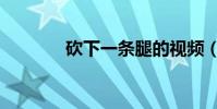 砍下一條腿的視頻(砍腿黨)