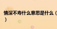 情深不壽什么意思是什么(情深不壽什么意思)