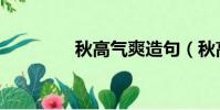 秋高氣爽造句(秋高氣爽)