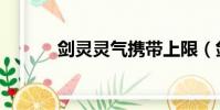 劍靈靈氣攜帶上限(劍靈靈氣)