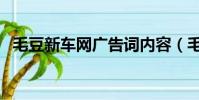 毛豆新車網廣告詞內容(毛豆新車網廣告)