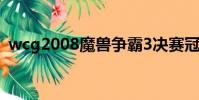 wcg2008魔獸爭霸3決賽冠軍(wcg2008)