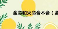 金命和火命合不合(金命和火命)