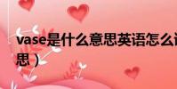 vase是什么意思英語怎么讀(vase是什么意思)