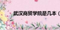 武漢商貿學院是幾本(武漢商貿)