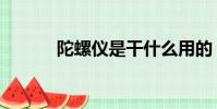 陀螺儀是干什么用的(陀螺儀)