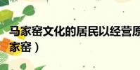馬家窯文化的居民以經營原始的什么為主(馬家窯)