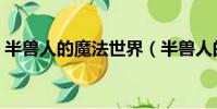 半獸人的魔法世界(半獸人的魔法世界全集)