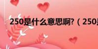 250是什么意思啊?(250是什么意思啊)