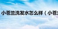 小蒼蘭洗發水怎么樣(小蒼蘭洗發水好用嗎)