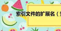 索引文件的擴展名(索引文件)