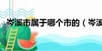 岑溪市屬于哪個市的(岑溪市屬于哪個市)