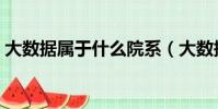 大數據屬于什么院系(大數據屬于什么專業)