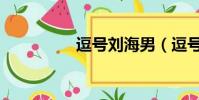 逗號劉海男(逗號劉海)