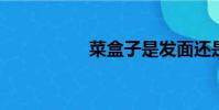 菜盒子是發面還是死面