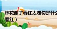 林花謝了春紅太匆匆是什么意思?(林花謝了春紅)