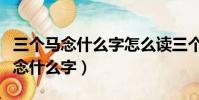 三個馬念什么字怎么讀三個羊的拼音(三個馬念什么字)