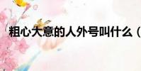 粗心大意的人外號叫什么(粗心大意的人)